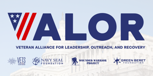 Valor Coalition Logo